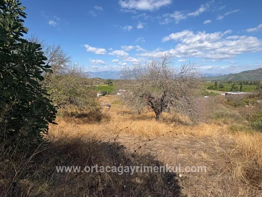 Для Продажи Поле в Dalyan Ortaca - Под Поле застройку - 5.000 m²