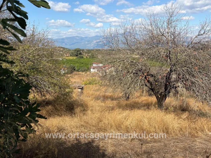 Для Продажи Поле в Dalyan Ortaca - Под Поле застройку - 5.000 m²