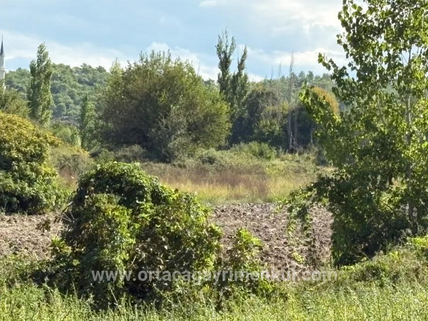 Для Продажи Поле в Zeytinalanı Köyceğiz - Под Поле застройку - 10.500 m²