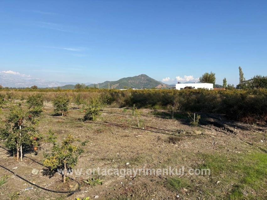 Для Продажи Поле в Eskiköy Ortaca - Под Поле застройку - 21.500 m²