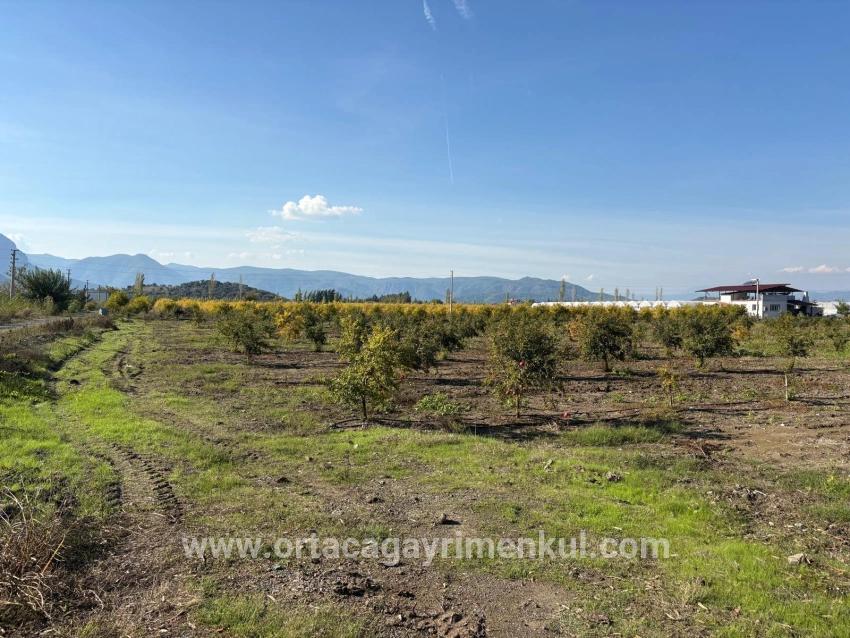 Для Продажи Поле в Eskiköy Ortaca - Под Поле застройку - 21.500 m²