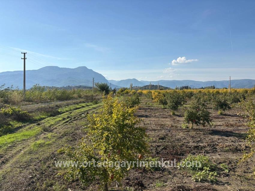 Для Продажи Поле в Eskiköy Ortaca - Под Поле застройку - 21.500 m²
