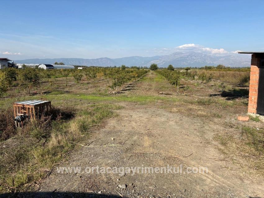 Для Продажи Поле в Eskiköy Ortaca - Под Поле застройку - 21.500 m²