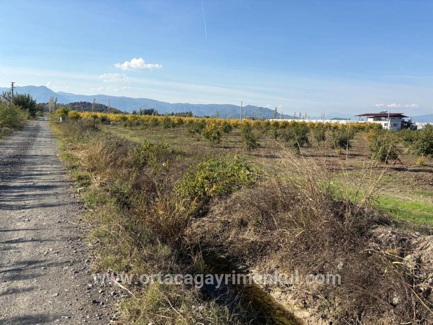Для Продажи Поле в Eskiköy Ortaca - Под Поле застройку - 21.500 m²