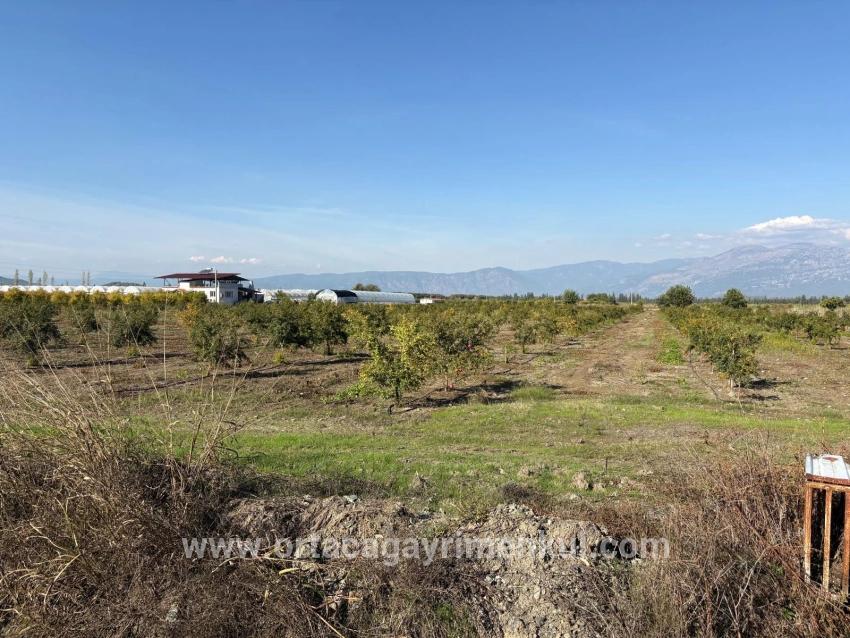 Для Продажи Поле в Eskiköy Ortaca - Под Поле застройку - 21.500 m²