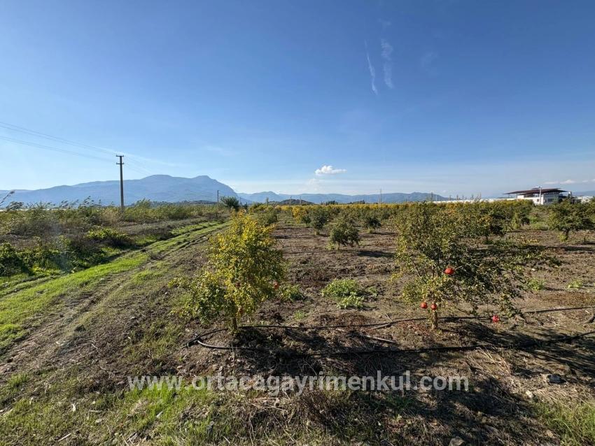 Для Продажи Поле в Eskiköy Ortaca - Под Поле застройку - 21.500 m²