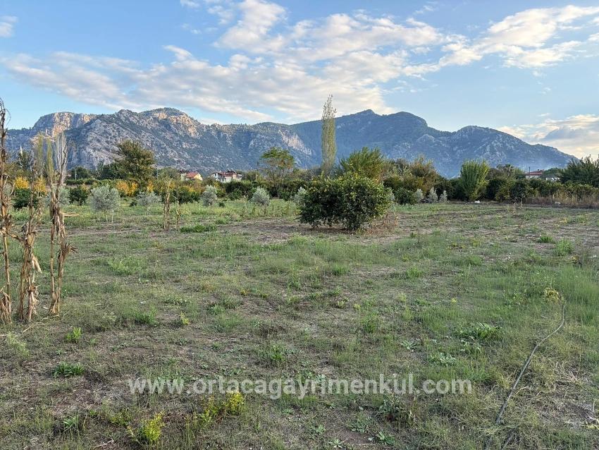 Для Продажи Сюжет в Dalyan Ortaca - Под Жилье застройку - 7.450 m²