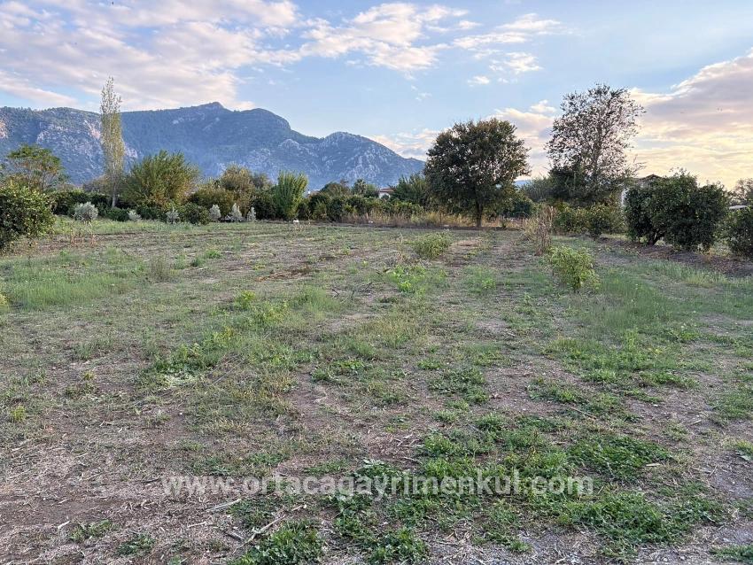 Для Продажи Сюжет в Dalyan Ortaca - Под Жилье застройку - 7.450 m²