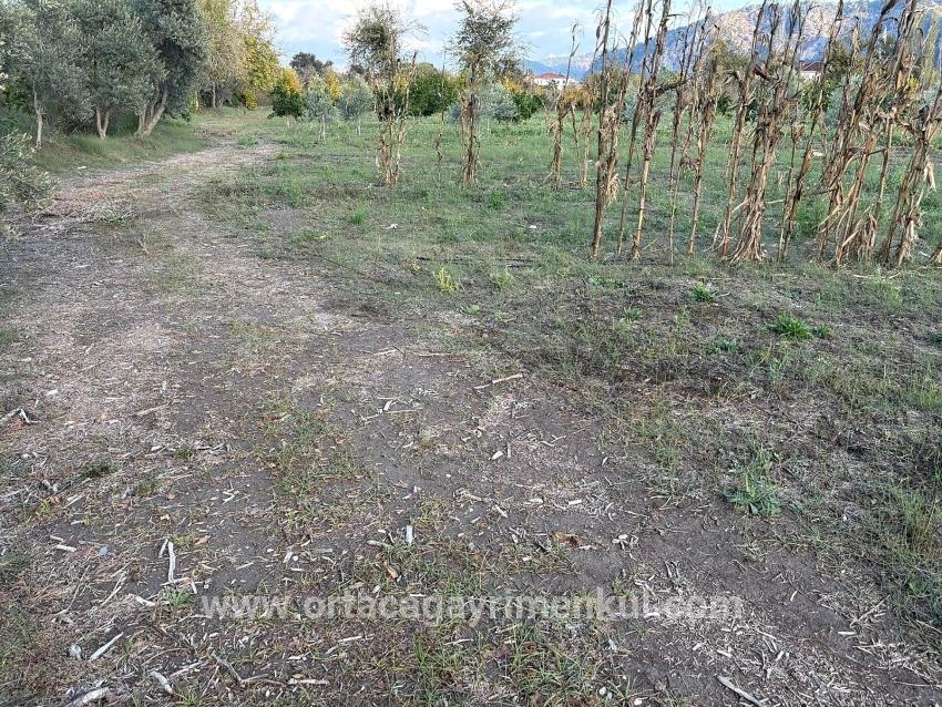 Для Продажи Сюжет в Dalyan Ortaca - Под Жилье застройку - 7.450 m²