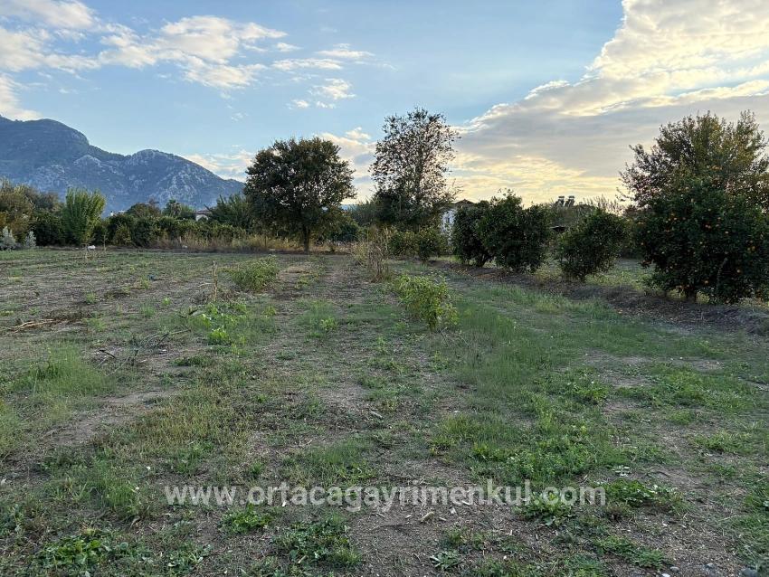 Для Продажи Сюжет в Dalyan Ortaca - Под Жилье застройку - 7.450 m²