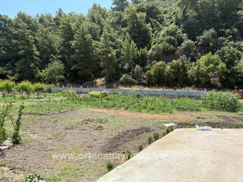 Для Продажи Семейный Дом 2+1 в Dalyan Ortaca - 2.500 m²