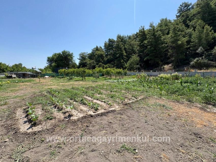 Для Продажи Семейный Дом 2+1 в Dalyan Ortaca - 2.500 m²