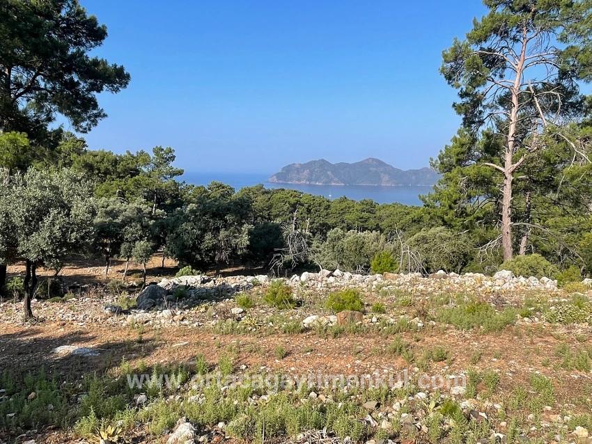 Для Продажи Поле в Çandır Köyceğiz - Под Жилье застройку - 10.481 m²