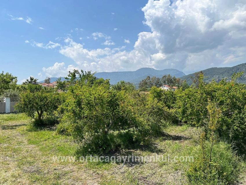 Для Продажи Сюжет в Dalyan Ortaca - Под Жилье застройку - 5.100 m²
