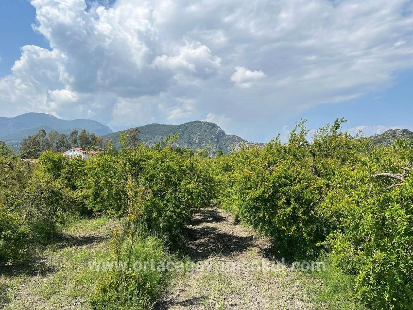 Для Продажи Сюжет в Dalyan Ortaca - Под Жилье застройку - 5.100 m²