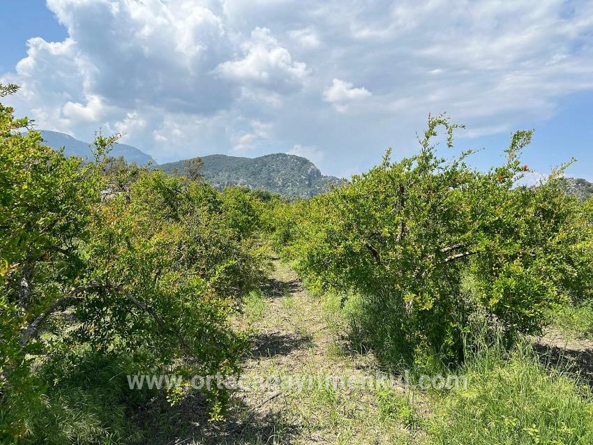 Для Продажи Сюжет в Dalyan Ortaca - Под Жилье застройку - 5.100 m²