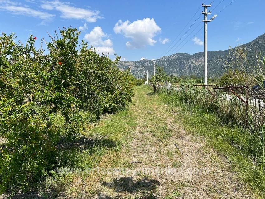 Для Продажи Сюжет в Dalyan Ortaca - Под Жилье застройку - 5.100 m²