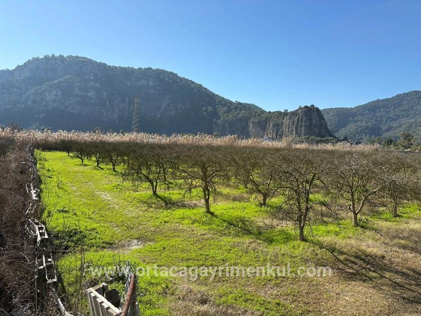 Для Продажи Сюжет в Dalyan Ortaca - Под Жилье застройку - 5.985 m²