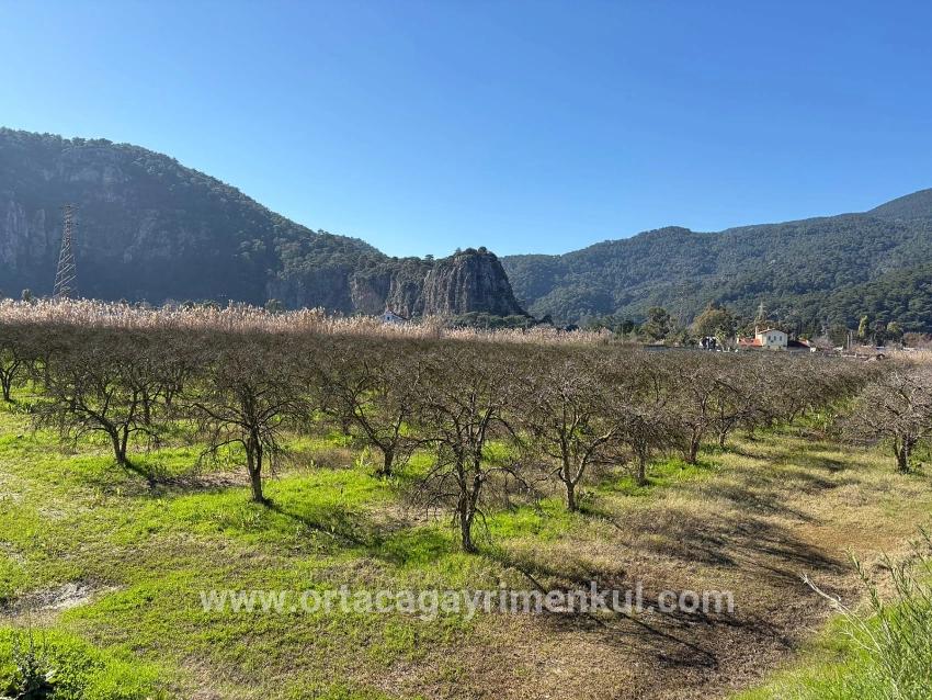 Для Продажи Сюжет в Dalyan Ortaca - Под Жилье застройку - 5.985 m²