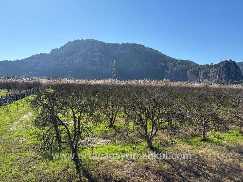 Для Продажи Сюжет в Dalyan Ortaca - Под Жилье застройку - 5.985 m²