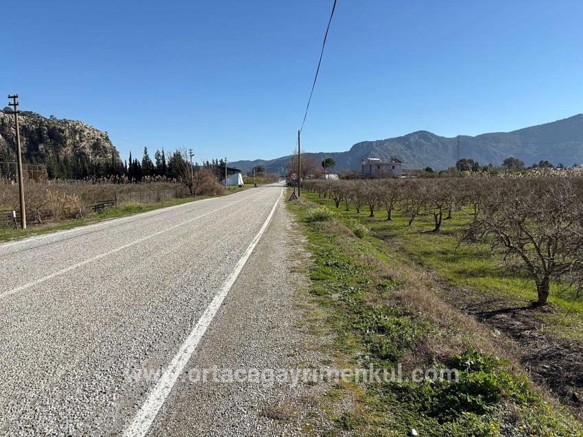 Для Продажи Сюжет в Dalyan Ortaca - Под Жилье застройку - 5.985 m²