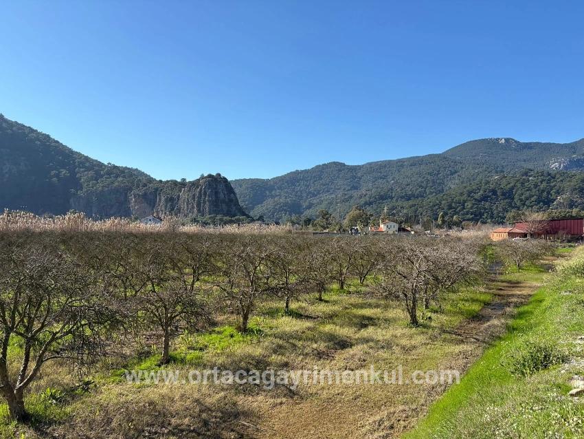 Для Продажи Сюжет в Dalyan Ortaca - Под Жилье застройку - 5.985 m²