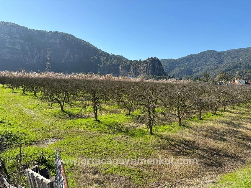 Для Продажи Сюжет в Dalyan Ortaca - Под Жилье застройку - 5.985 m²
