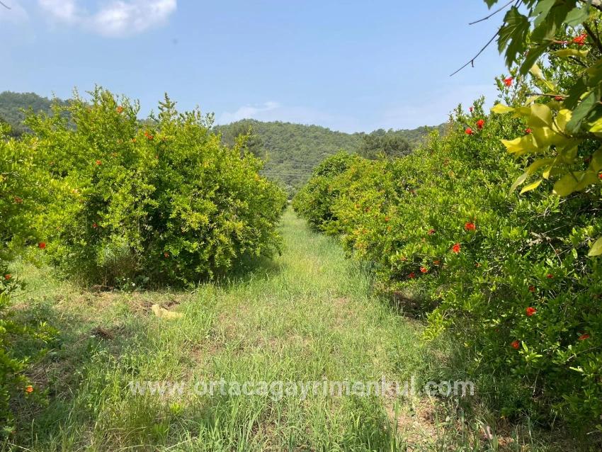 Для Продажи Поле в Gökbel Ortaca - Под Жилье застройку - 7.800 m²