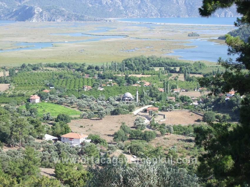 Для Продажи Поле в Çandır Köyceğiz - Под Поле застройку - 19.334 m²