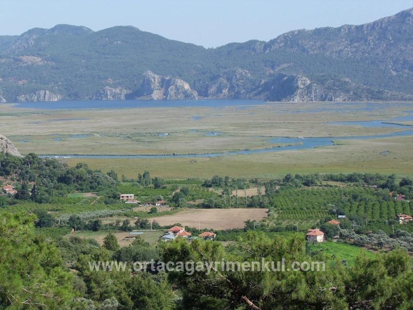 Для Продажи Поле в Çandır Köyceğiz - Под Поле застройку - 19.334 m²
