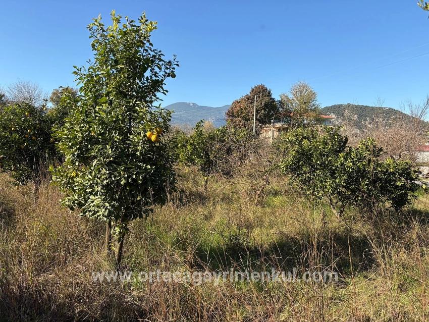 Для Продажи Поле в Dalyan Ortaca - Под Поле застройку - 4.541 m²
