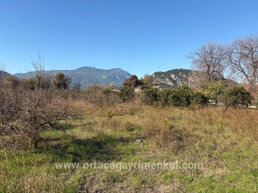 Для Продажи Поле в Dalyan Ortaca - Под Поле застройку - 4.541 m²