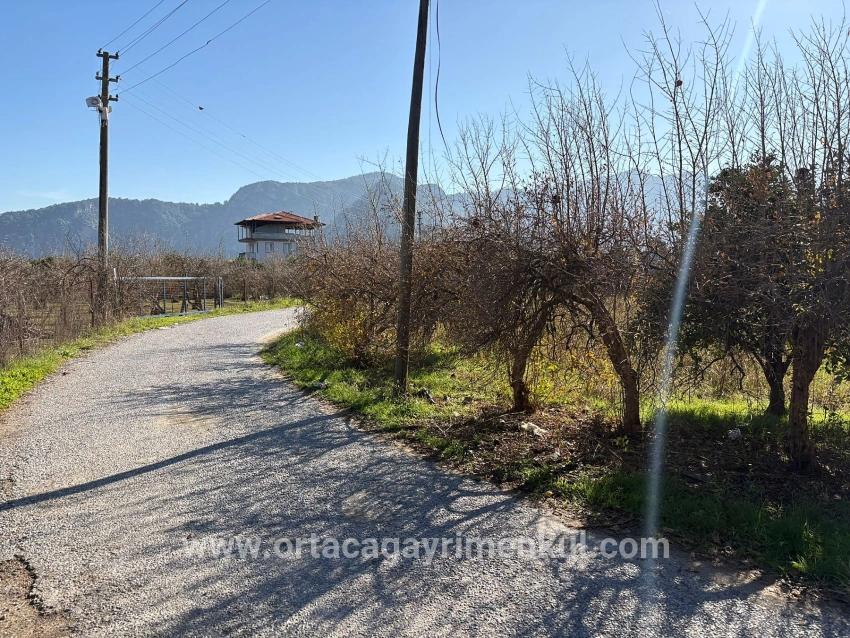 Для Продажи Поле в Dalyan Ortaca - Под Поле застройку - 4.541 m²