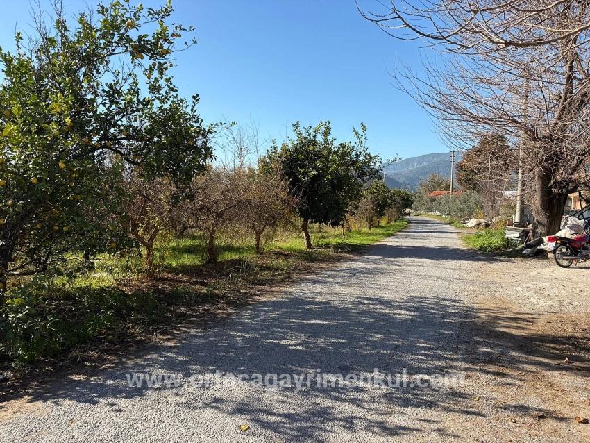 Для Продажи Поле в Dalyan Ortaca - Под Поле застройку - 4.541 m²