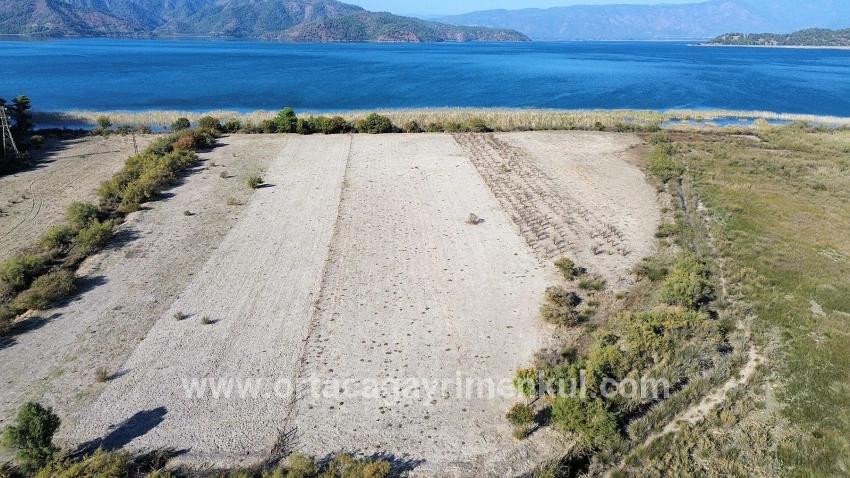 Для Продажи Поле в Sultaniye Köyceğiz - Под Поле застройку - 3.210 m²