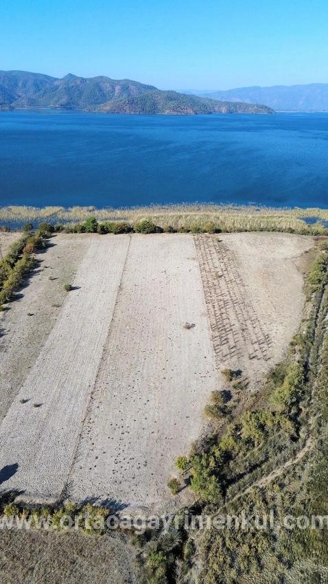 Для Продажи Поле в Sultaniye Köyceğiz - Под Поле застройку - 3.210 m²