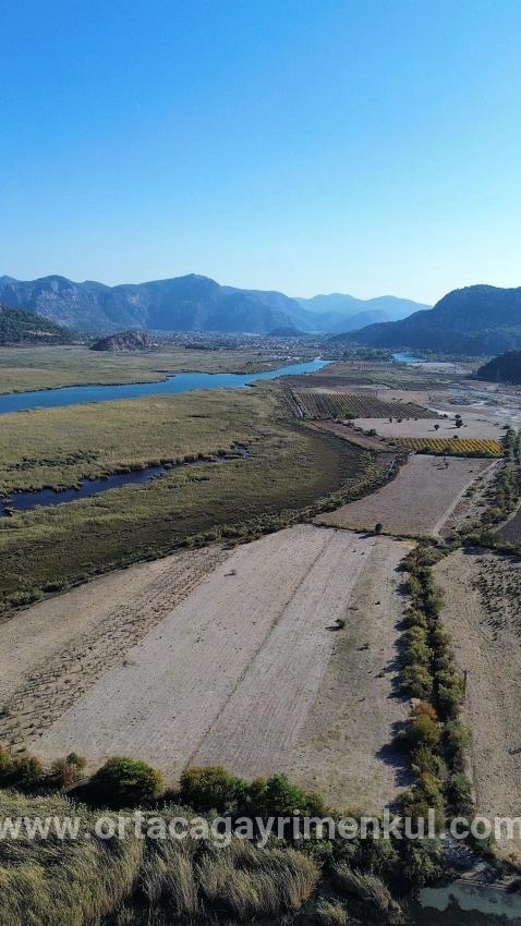 Для Продажи Поле в Sultaniye Köyceğiz - Под Поле застройку - 3.210 m²
