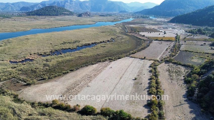 Для Продажи Поле в Sultaniye Köyceğiz - Под Поле застройку - 3.210 m²