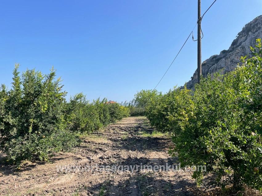 Для Продажи Поле в Dalyan Ortaca - Под Жилье застройку - 10.000 m²