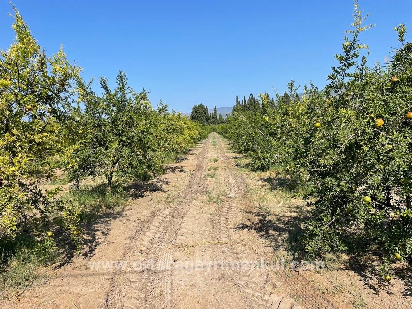 Для Продажи Поле в Dalyan Ortaca - Под Жилье застройку - 10.000 m²