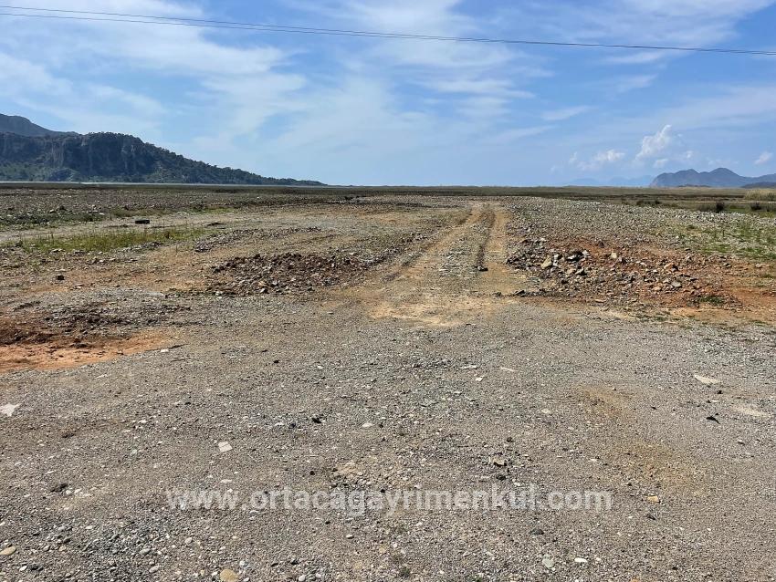 Для Продажи Поле в Dalyan Ortaca - Под Жилье застройку - 19.600 m²