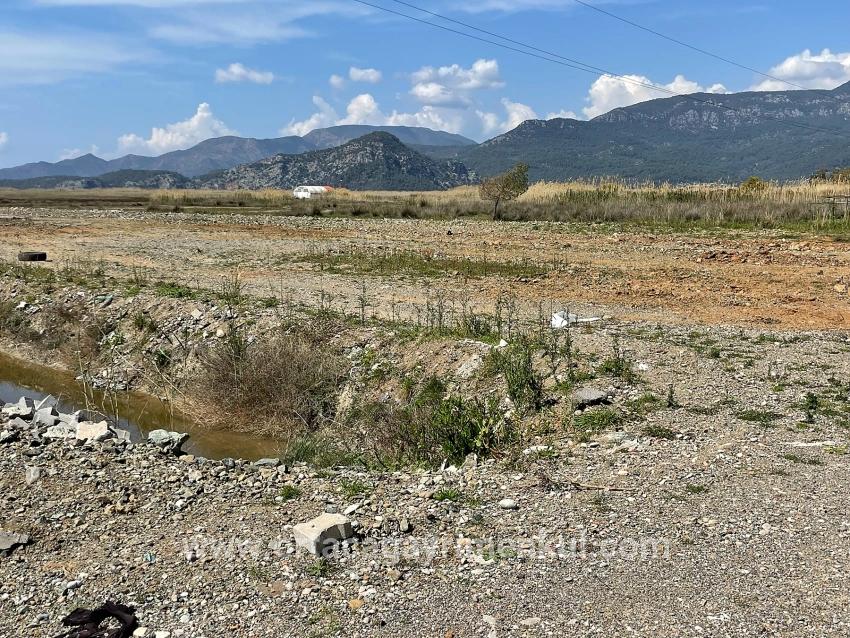 Для Продажи Поле в Dalyan Ortaca - Под Жилье застройку - 19.600 m²