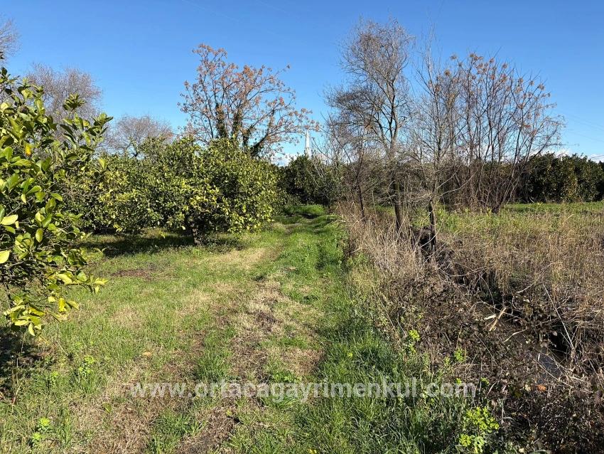 Для Продажи Поле в Dalyan Ortaca - Под Поле застройку - 16.500 m²