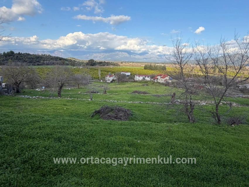 Для Продажи Поле в Dalyan Ortaca - Под Поле застройку - 11.230 m²