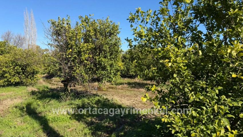 Для Продажи Сюжет в Okçular Ortaca - Под Жилье застройку - 2.218 m²