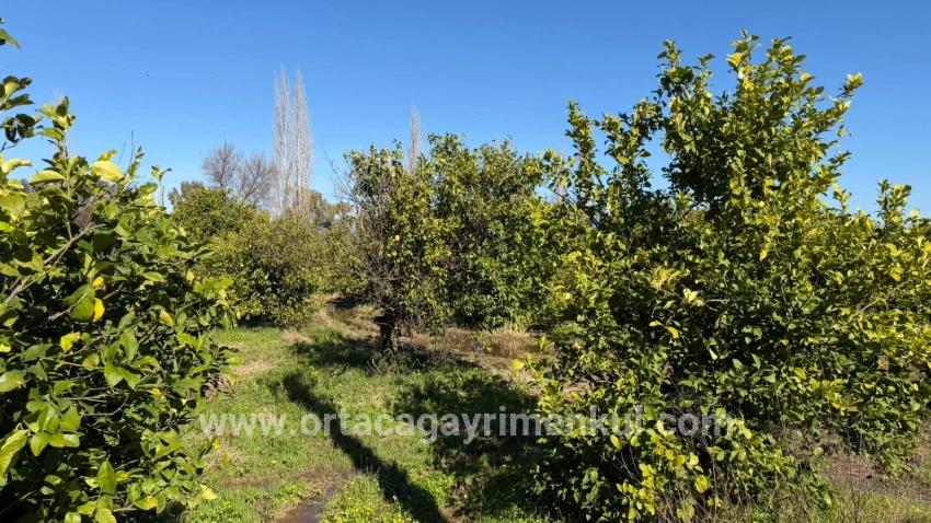 Для Продажи Сюжет в Okçular Ortaca - Под Жилье застройку - 2.218 m²