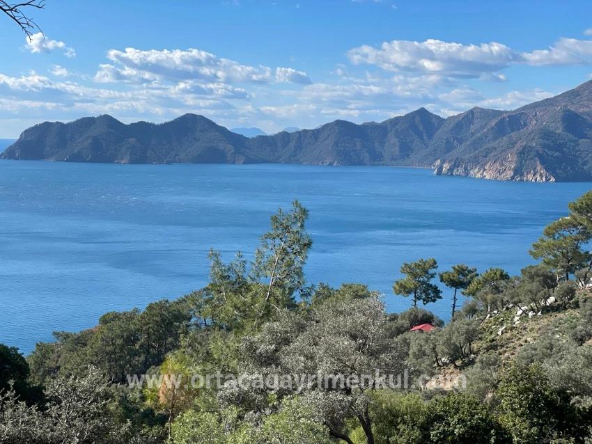 Для Продажи Поле в Çandır Köyceğiz - Под Поле застройку - 20.000 m²