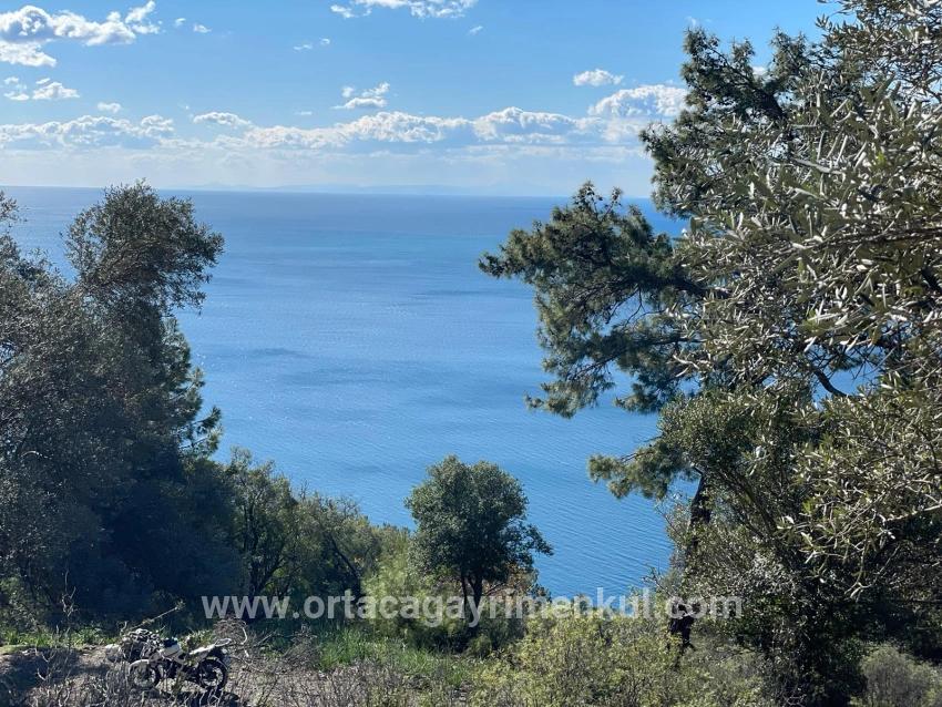 Для Продажи Поле в Çandır Köyceğiz - Под Поле застройку - 20.000 m²