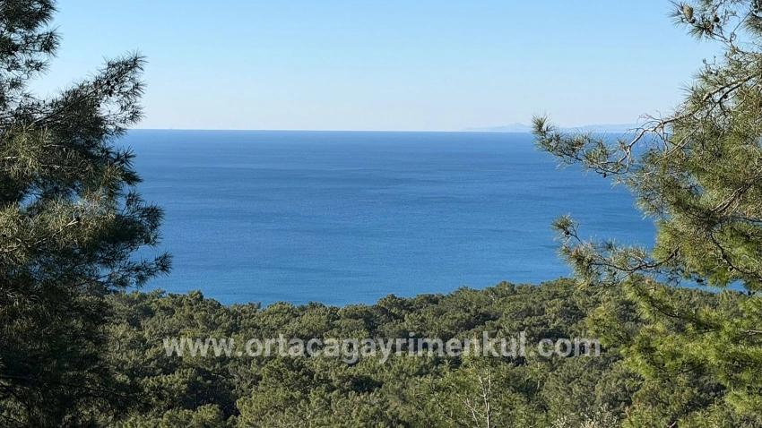 Для Продажи Поле в Çandır Köyceğiz - Под Жилье застройку - 5.715 m²