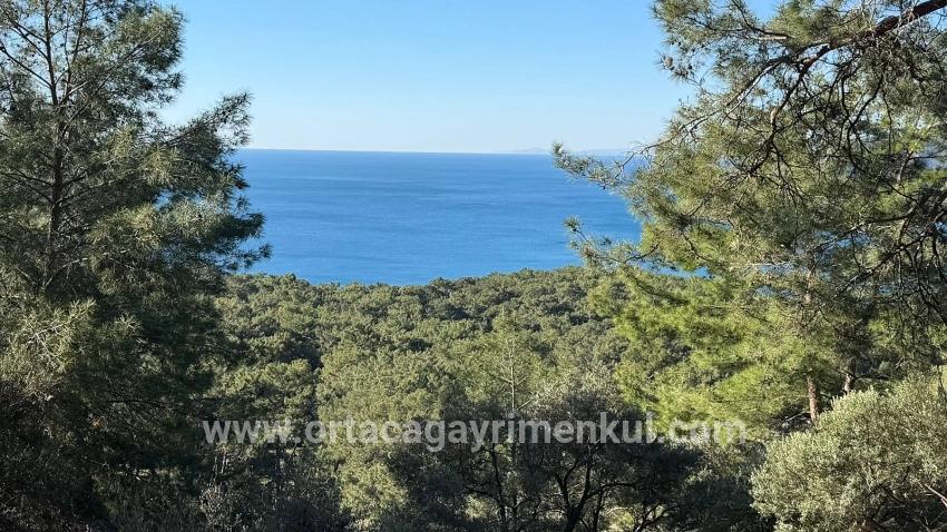 Для Продажи Поле в Çandır Köyceğiz - Под Жилье застройку - 5.715 m²